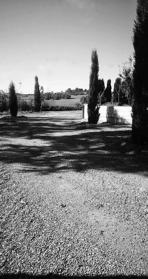 Cal Nin Lovelyhousesdiana Villa Sant Jordi Desvalls Holiday home